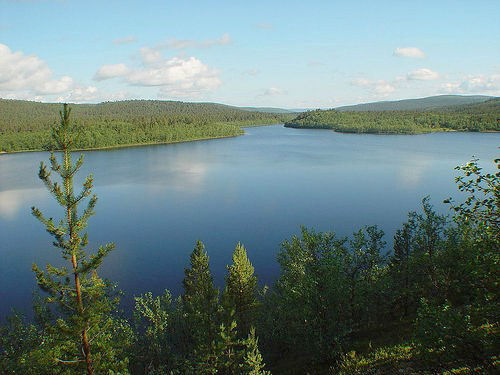 Lapponia Lapponia